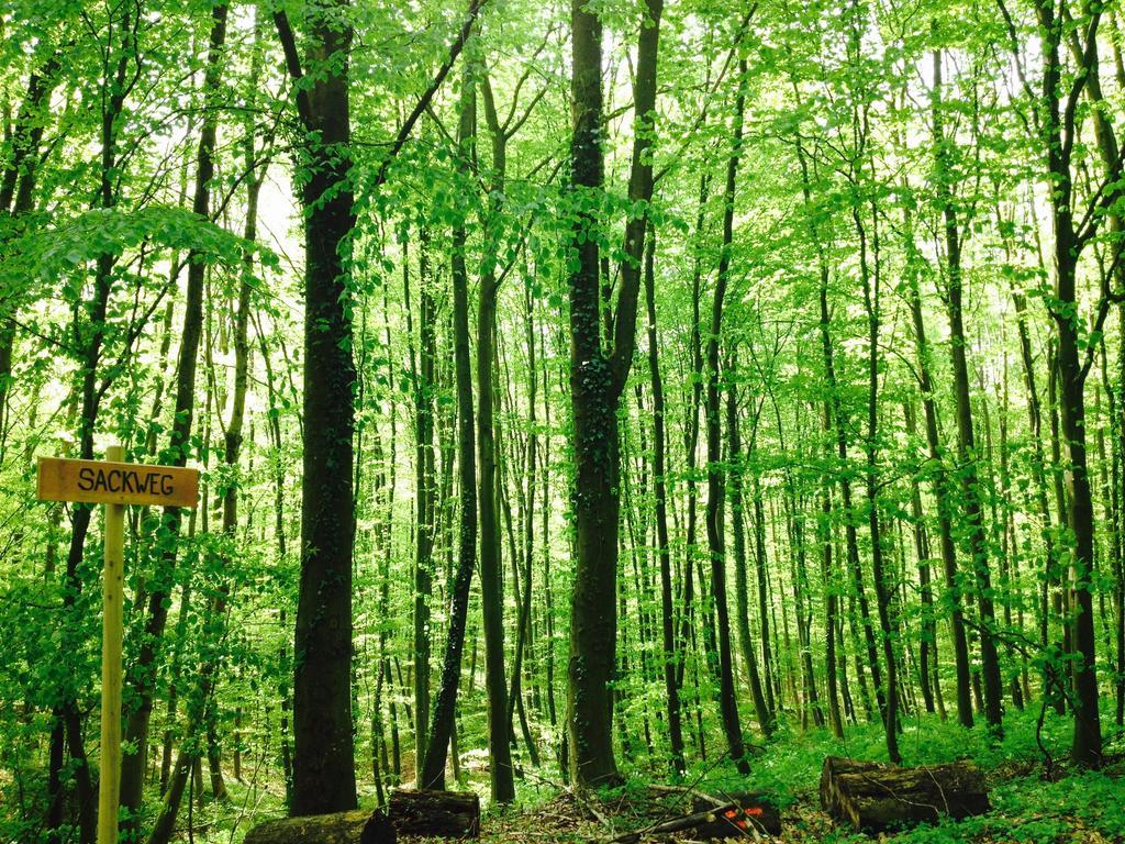 키펜하임 Schwarzwald Domizil Uhlsberg 아파트 외부 사진