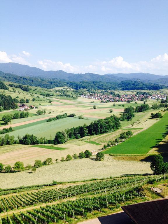 키펜하임 Schwarzwald Domizil Uhlsberg 아파트 외부 사진