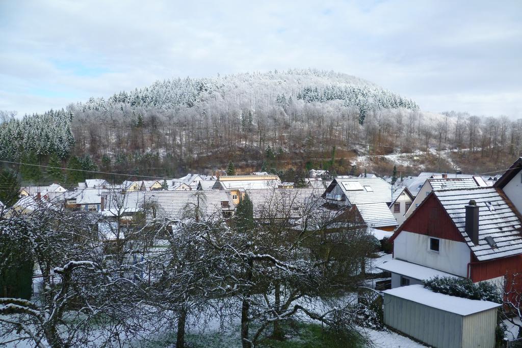 키펜하임 Schwarzwald Domizil Uhlsberg 아파트 외부 사진