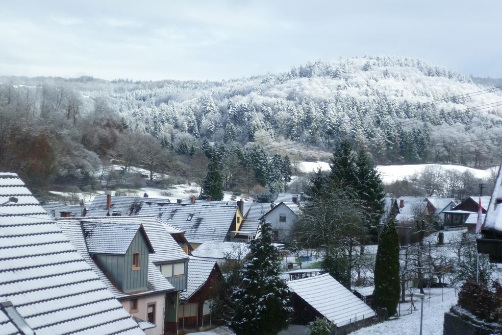 키펜하임 Schwarzwald Domizil Uhlsberg 아파트 객실 사진