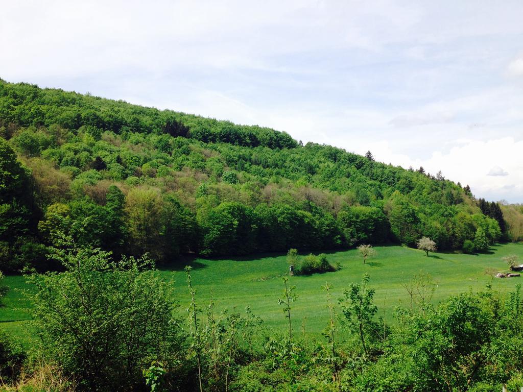 키펜하임 Schwarzwald Domizil Uhlsberg 아파트 외부 사진