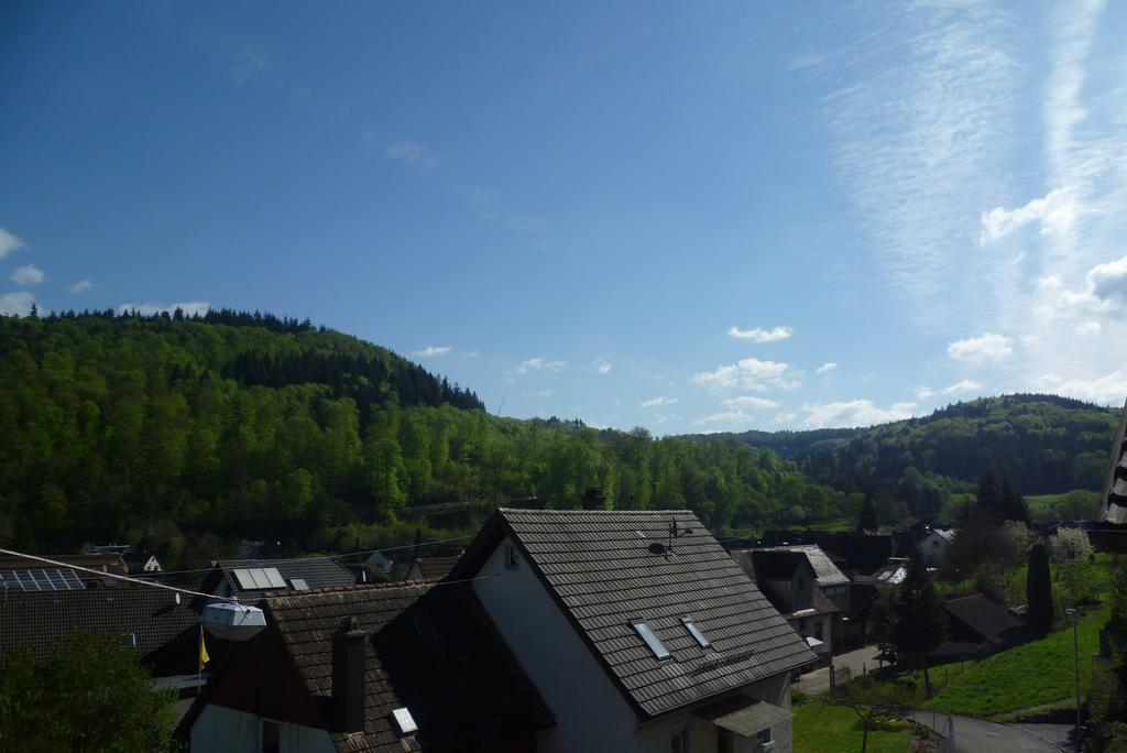 키펜하임 Schwarzwald Domizil Uhlsberg 아파트 객실 사진