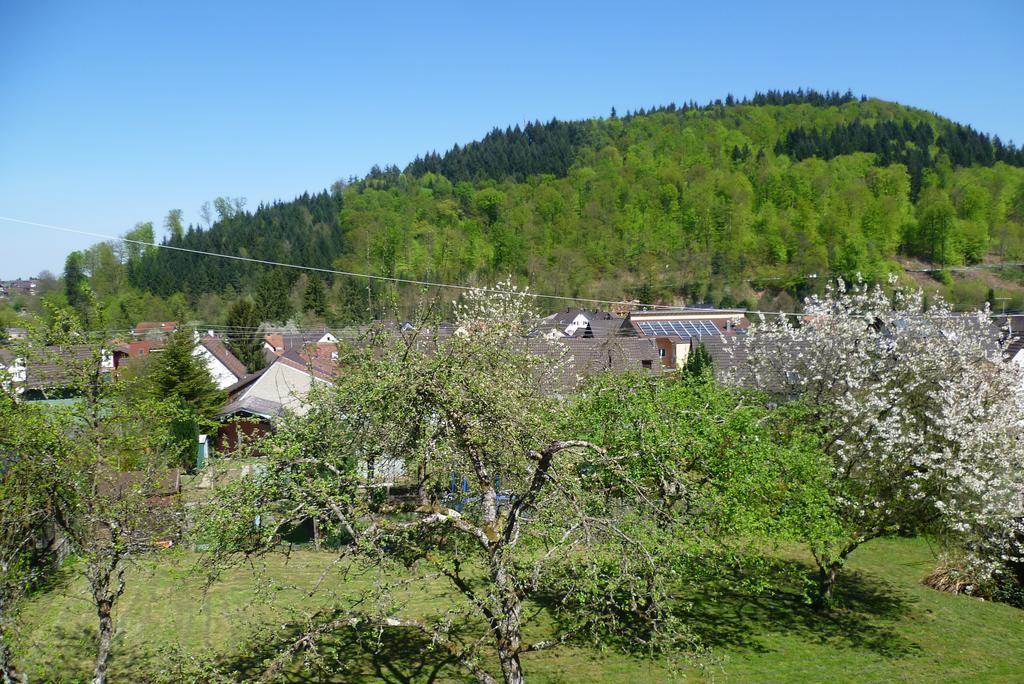 키펜하임 Schwarzwald Domizil Uhlsberg 아파트 객실 사진
