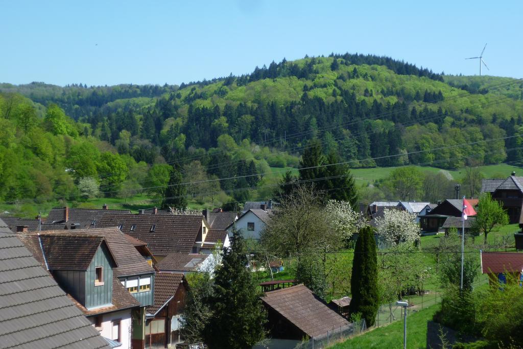 키펜하임 Schwarzwald Domizil Uhlsberg 아파트 객실 사진
