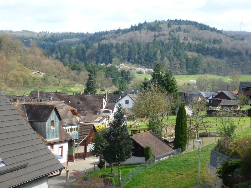 키펜하임 Schwarzwald Domizil Uhlsberg 아파트 객실 사진