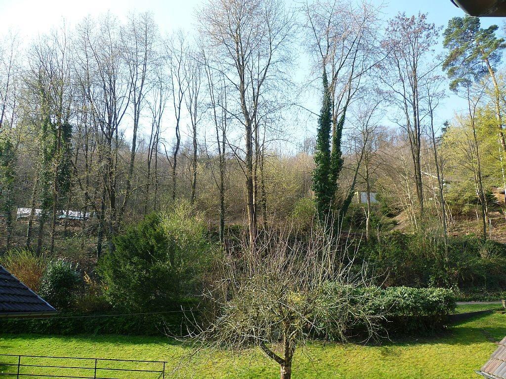 키펜하임 Schwarzwald Domizil Uhlsberg 아파트 외부 사진