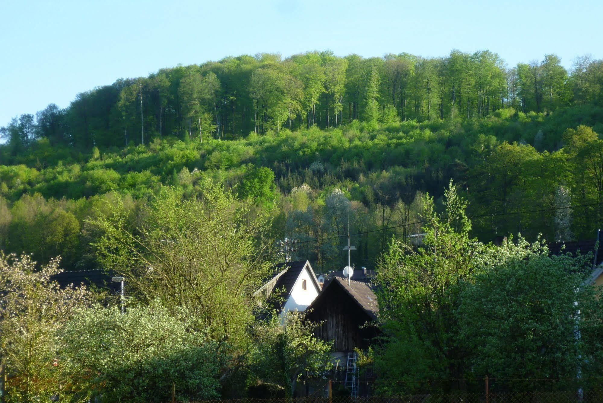 키펜하임 Schwarzwald Domizil Uhlsberg 아파트 외부 사진